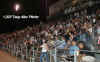 grandstands.jpg (30068 bytes)